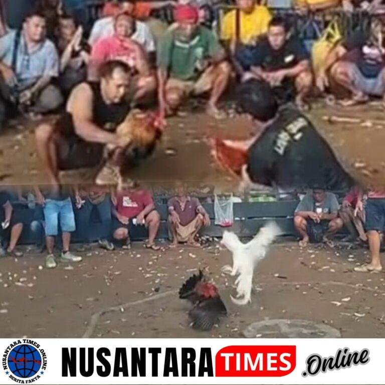 “Fenomena Tajen Jembrana Jadi Ujian Serius bagi Aparat Penegak Hukum”