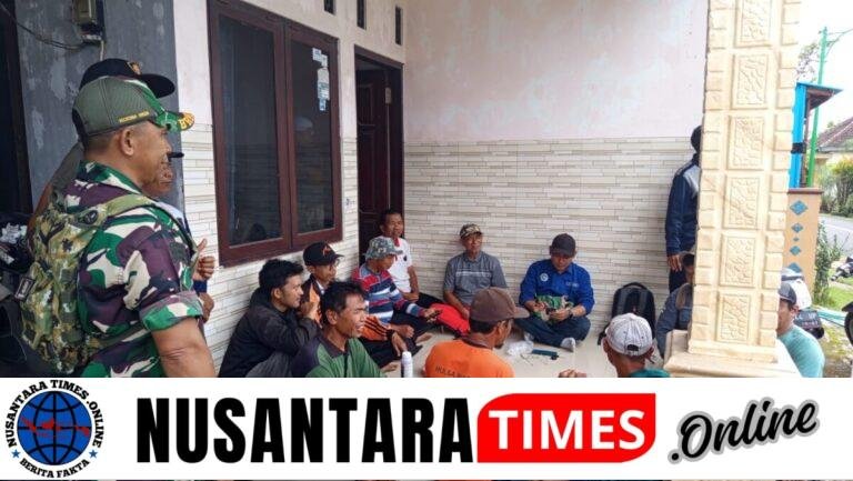 Gerak Cepat Babinsa Turun ke Sawah, Ancaman Wereng Coklat di Macan Putih Mulai Dikendalikan