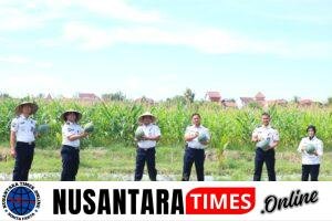 Konsisten dan Produktif, SAE Paswangi Lapas Banyuwangi Gelar Panen Semangka Jilid Dua