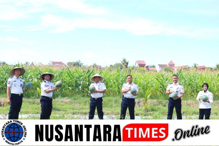 Konsisten dan Produktif, SAE Paswangi Lapas Banyuwangi Gelar Panen Semangka Jilid Dua