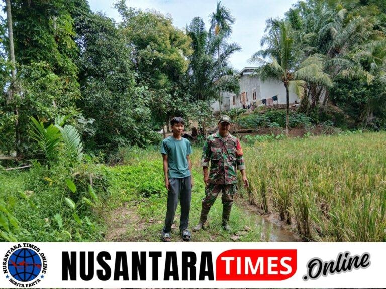 Babinsa Melakukan Pendampingan kelompok Tank (Poktan) Desa Tanning Agung