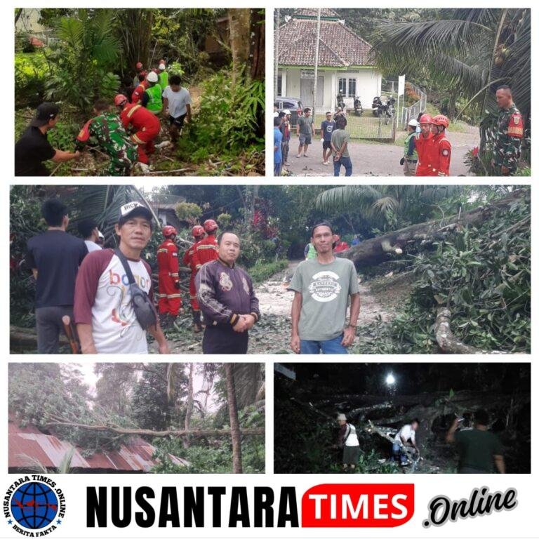 Babinsa Sertu Imam Udin,Sigap Bantu Evakuasi Rumah Warga Tertimpa Pohon Tumbang Akibat Angin Kencang